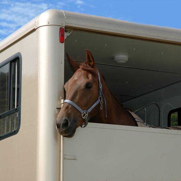 Horsebox Safety Checks